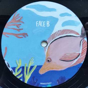 LP Agar Agar: Cardan