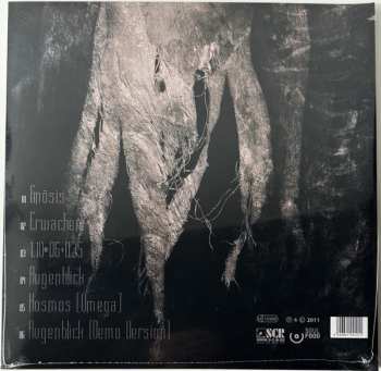 LP Agrypnie: Asche EP CLR | LTD | NUM