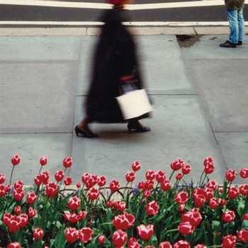 LP Air Waves: The Dance