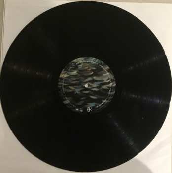 LP AJR: The Maybe Man 