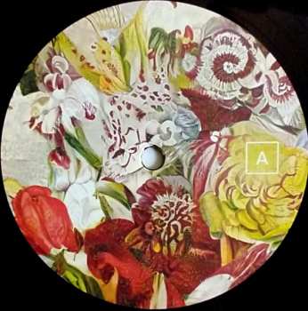 LP Akane: Night-Time Birds