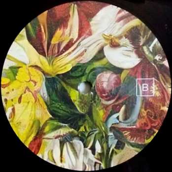 LP Akane: Night-Time Birds