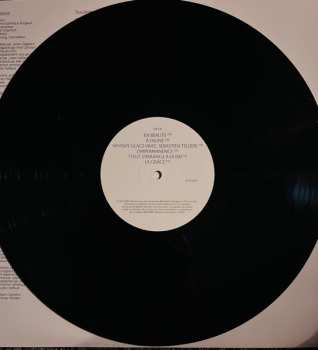 LP Alain Chamfort: L'impermanence LTD