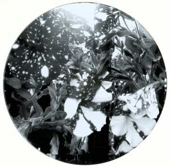 LP Alasdair Roberts: Fretted And Indebted LTD | PIC