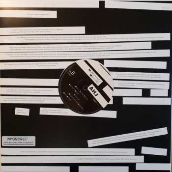 LP Albert Hammond Jr.: Momentary Masters CLR