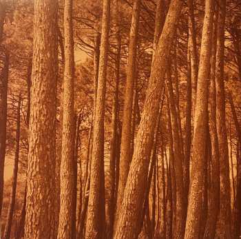 2LP Alberto Iglesias: The Room Next Door - A Film By Almodóvar (Original Soundtrack) CLR