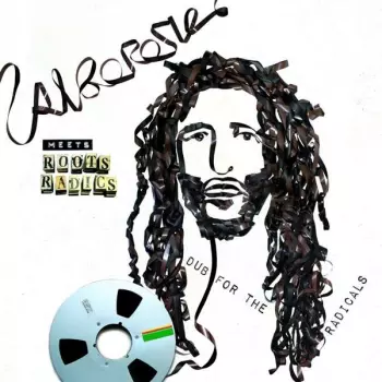 The Roots Radics: Dub For The Radicals