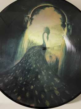 LP Alcest: Les voyages de l'âme