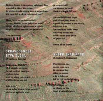 CD Aleš Brichta: American Bull