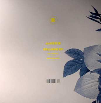 LP Alexkid: Celi Dub EP