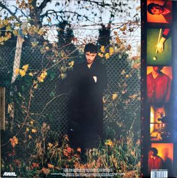 LP Alfie Templeman: Radiosoul LTD