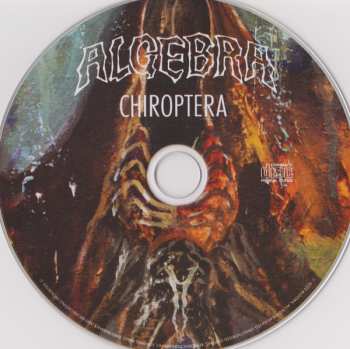CD Algebra: Chiroptera
