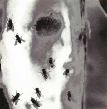 CD Alice In Chains: Jar Of Flies