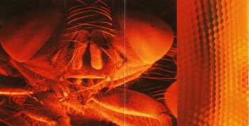 CD Alice In Chains: Jar Of Flies