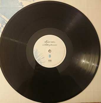 LP Alin Coen: Alin Coen und STÜBAphilharmonie