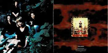 CD Alison Brown: Quartet