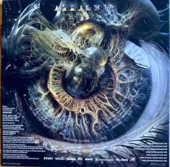 2LP Alkaloid: Numen CLR | LTD