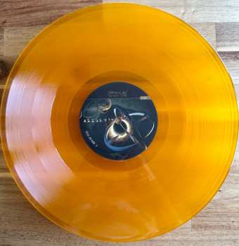 2LP Alkaloid: Numen CLR | LTD