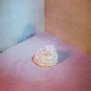 LP all boy/all girl: Slagroom