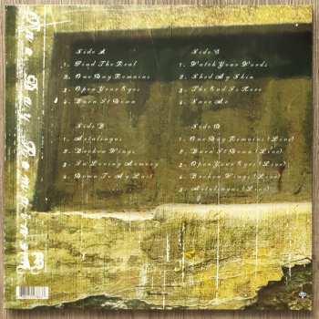 2LP Alter Bridge: One Day Remains CLR | DLX | LTD