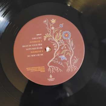 LP Amanda Rheaume: The Spaces In Between