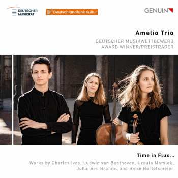Album Amelio Trio: Time In Flux