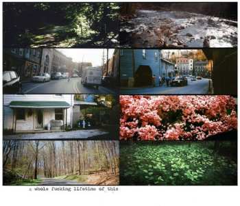 Album American Pleasure Club: A Whole Fucking Lifetime Of This