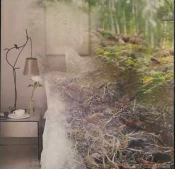 LP Amnesia Scanner: Lexachast