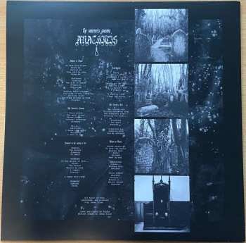 LP Anachitis: The Sorcerer's Sorrow LTD | CLR