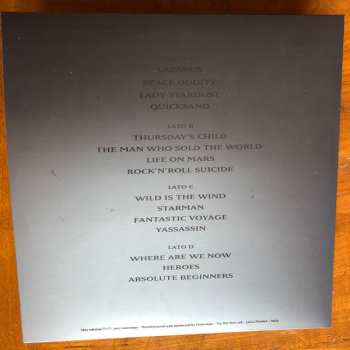 2LP Andrea Chimenti: Canta David Bowie