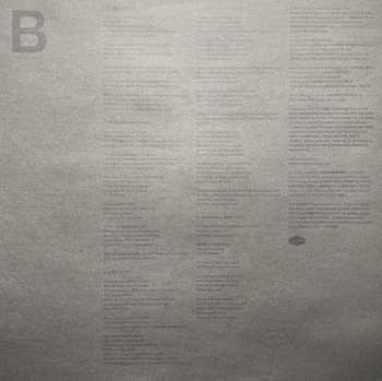 LP Andrew Bird: Inside Problems
