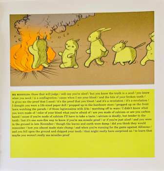 CD Andrew Bird: The Mysterious Production Of Eggs