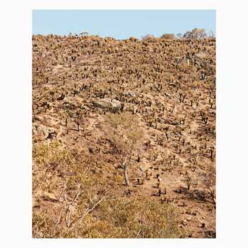 LP Andrew Pekler: Palimpsests