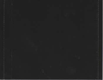 2CD Andy Stott: Passed Me By / We Stay Together