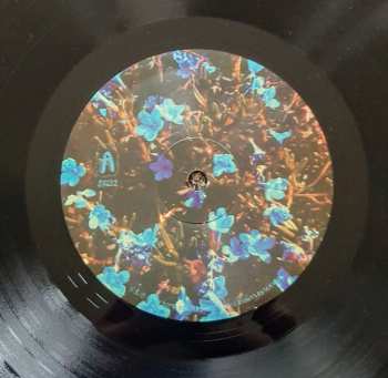 LP Angelica Garcia: Cha Cha Palace