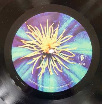 LP Angelica Garcia: Cha Cha Palace