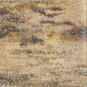 CD Änglagård: Buried Alive