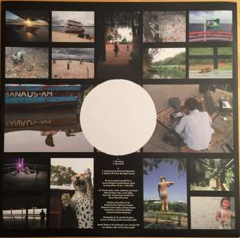 LP Animal Collective: Meeting Of The Waters LTD