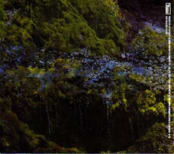 CD Animal Collective: Water Curses DIGI