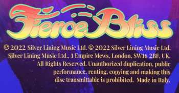 LP Ann Wilson: Fierce Bliss