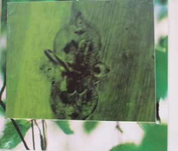 CD Nils Henrik Asheim: Kom Regn