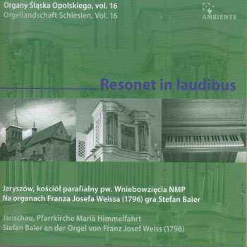 CD Anonymus: Orgellandschaft Schlesien Vol.16 - Resonet In Laudibus