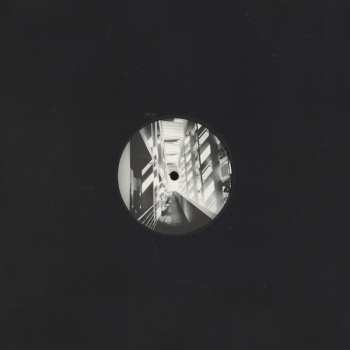 LP Ant Orange: Ant Orange LTD