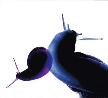 2CD Anthony Phillips: Wildlife