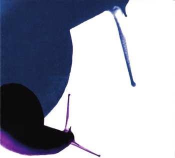 2CD Anthony Phillips: Wildlife