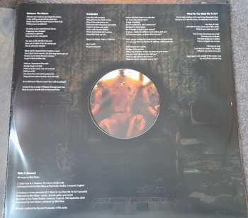 2LP Antimatter: Black Market Enlightenment LTD | CLR