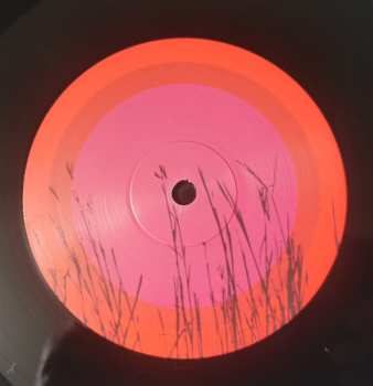 LP Anton Barbeau: In The Village Of The Apple Sun LTD