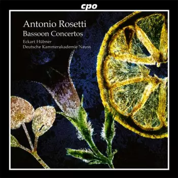 Bassoon Concertos
