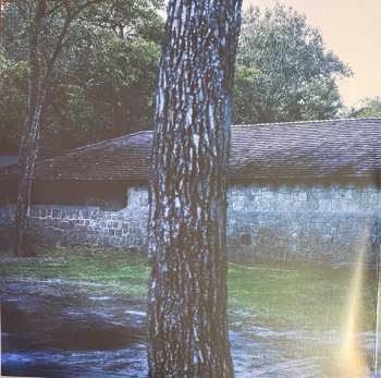 2LP Aoife O'Donovan: Age Of Apathy DLX | CLR