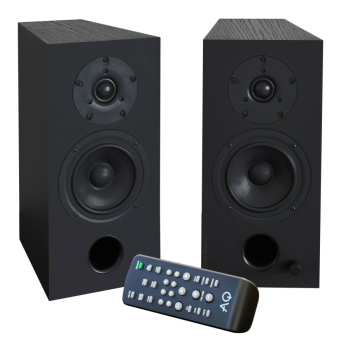 Técnica de áudio AQ Labrador 39 FORTE